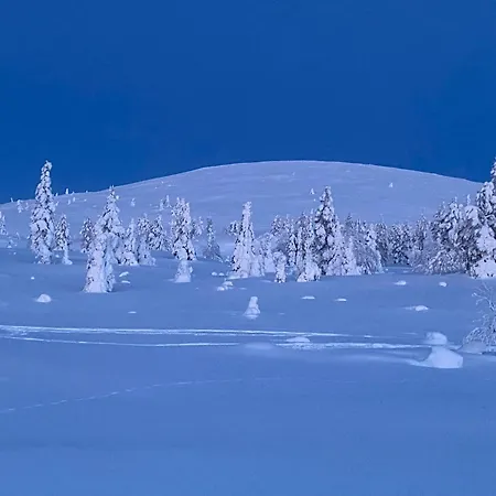 Jerisranta 30 *